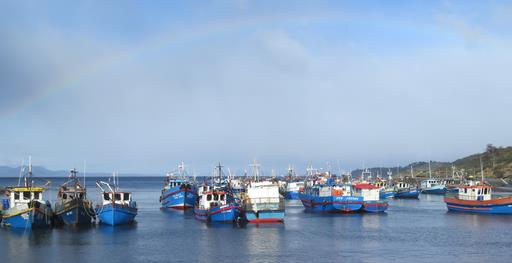 Cliquez pour agrandir l'image