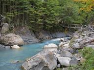 Cliquez pour agrandir l'image