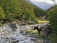 Cliquez pour agrandir l'image