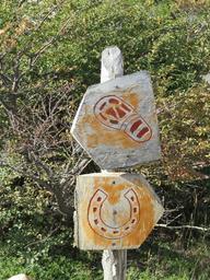 Cliquez pour agrandir l'image