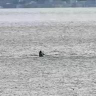 Cliquez pour agrandir l'image