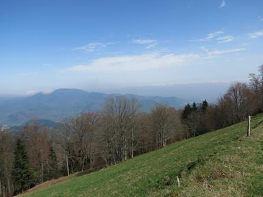 Cliquez pour agrandir l'image