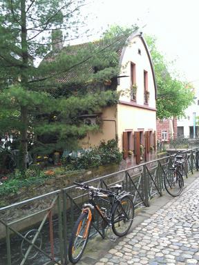 Cliquez pour agrandir l'image