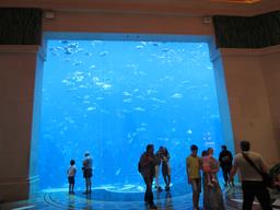 Cliquez pour agrandir l'image