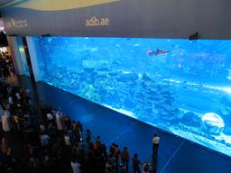 Cliquez pour agrandir l'image