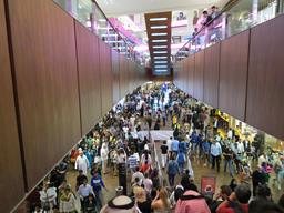 Cliquez pour agrandir l'image