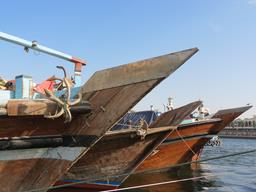 Cliquez pour agrandir l'image