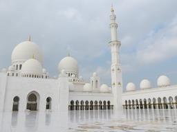 Cliquez pour agrandir l'image