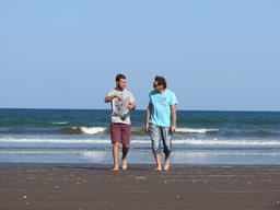 Cliquez pour agrandir l'image