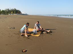 Cliquez pour agrandir l'image