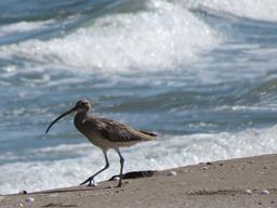 Cliquez pour agrandir l'image