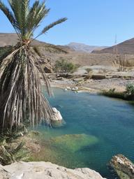 Cliquez pour agrandir l'image