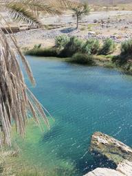 Cliquez pour agrandir l'image