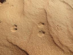 Cliquez pour agrandir l'image