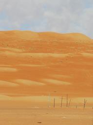 Cliquez pour agrandir l'image Cliquez pour agrandir l'image