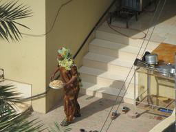 Cliquez pour agrandir l'image