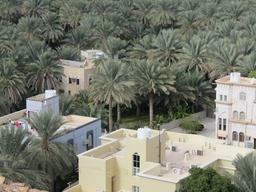 Cliquez pour agrandir l'image