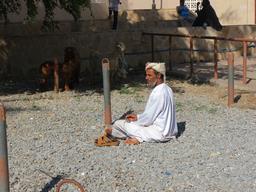 Cliquez pour agrandir l'image