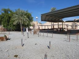 Cliquez pour agrandir l'image