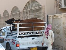 Cliquez pour agrandir l'image