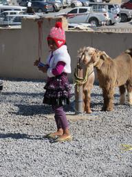 Cliquez pour agrandir l'image