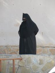 Cliquez pour agrandir l'image