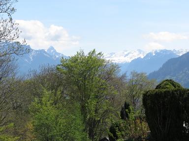 Cliquez pour agrandir l'image