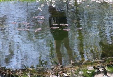 Cliquez pour agrandir l'image Cliquez pour agrandir l'image