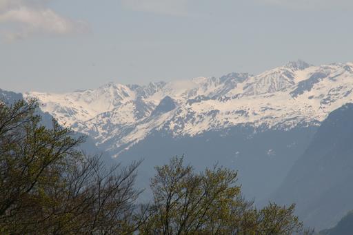 Cliquez pour agrandir l'image