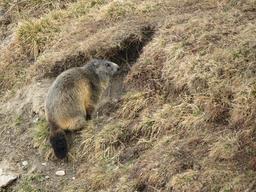 Cliquez pour agrandir l'image