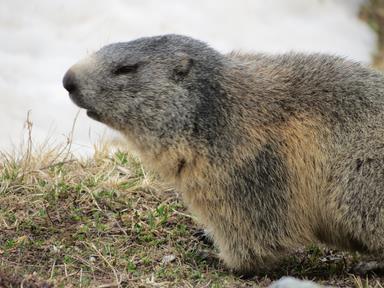 Cliquez pour agrandir l'image