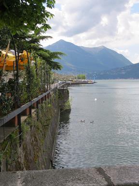 Cliquez pour agrandir l'image