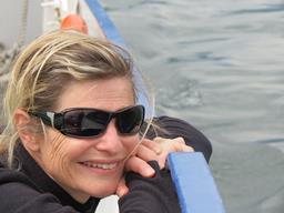 Cliquez pour agrandir l'image