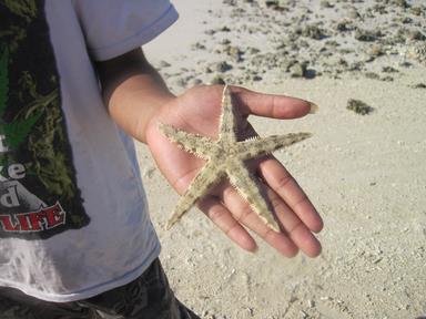 Cliquez pour agrandir l'image