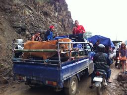 Cliquez pour agrandir l'image