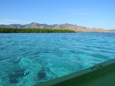 Cliquez pour agrandir l'image