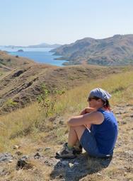 Cliquez pour agrandir l'image