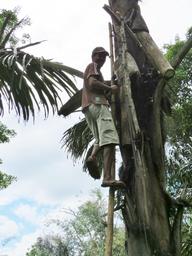 Cliquez pour agrandir l'image