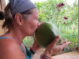 Cliquez pour agrandir l'image