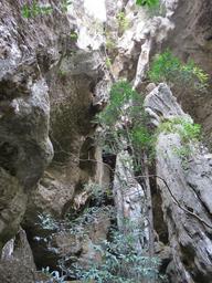 Cliquez pour agrandir l'image