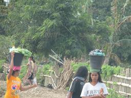 Cliquez pour agrandir l'image