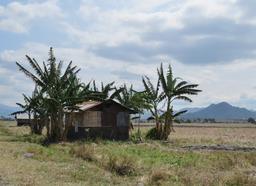 Cliquez pour agrandir l'image