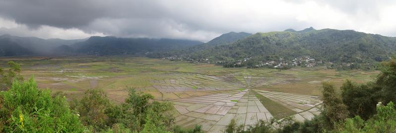 Cliquez pour agrandir l'image