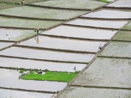 Cliquez pour agrandir l'image