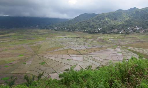 Cliquez pour agrandir l'image