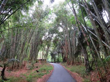 Cliquez pour agrandir l'image