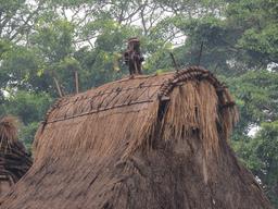 Cliquez pour agrandir l'image