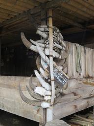 Cliquez pour agrandir l'image