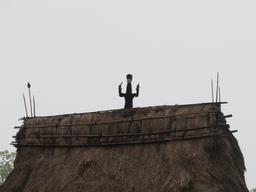 Cliquez pour agrandir l'image