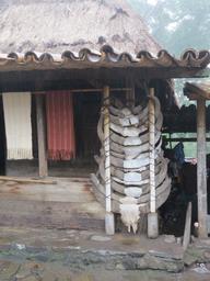 Cliquez pour agrandir l'image